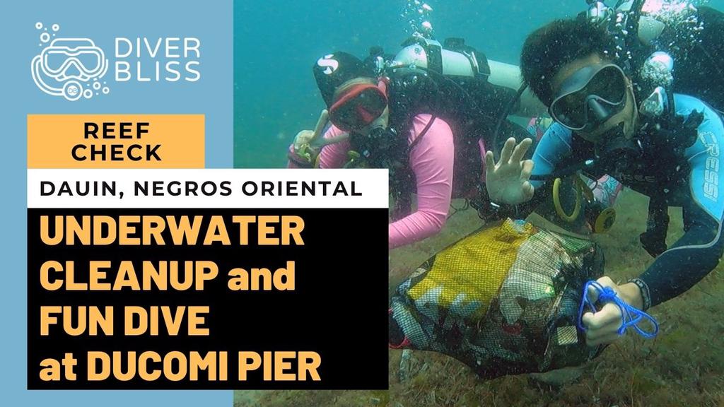 'Video thumbnail for Underwater Cleanup Dive and Fun Dive with Marine Conservation Philippines at Ducomi Pier, Negros Oriental, Philippines'