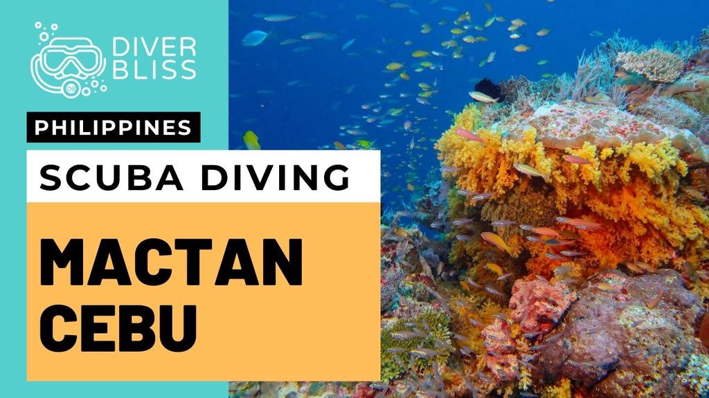 'Video thumbnail for Scuba Diving in Mactan Island and Olango Island in Cebu Philippines'