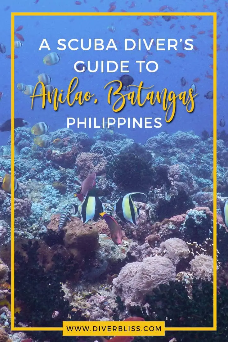 A scuba diver's guide to Anilao, Batangas Philippines