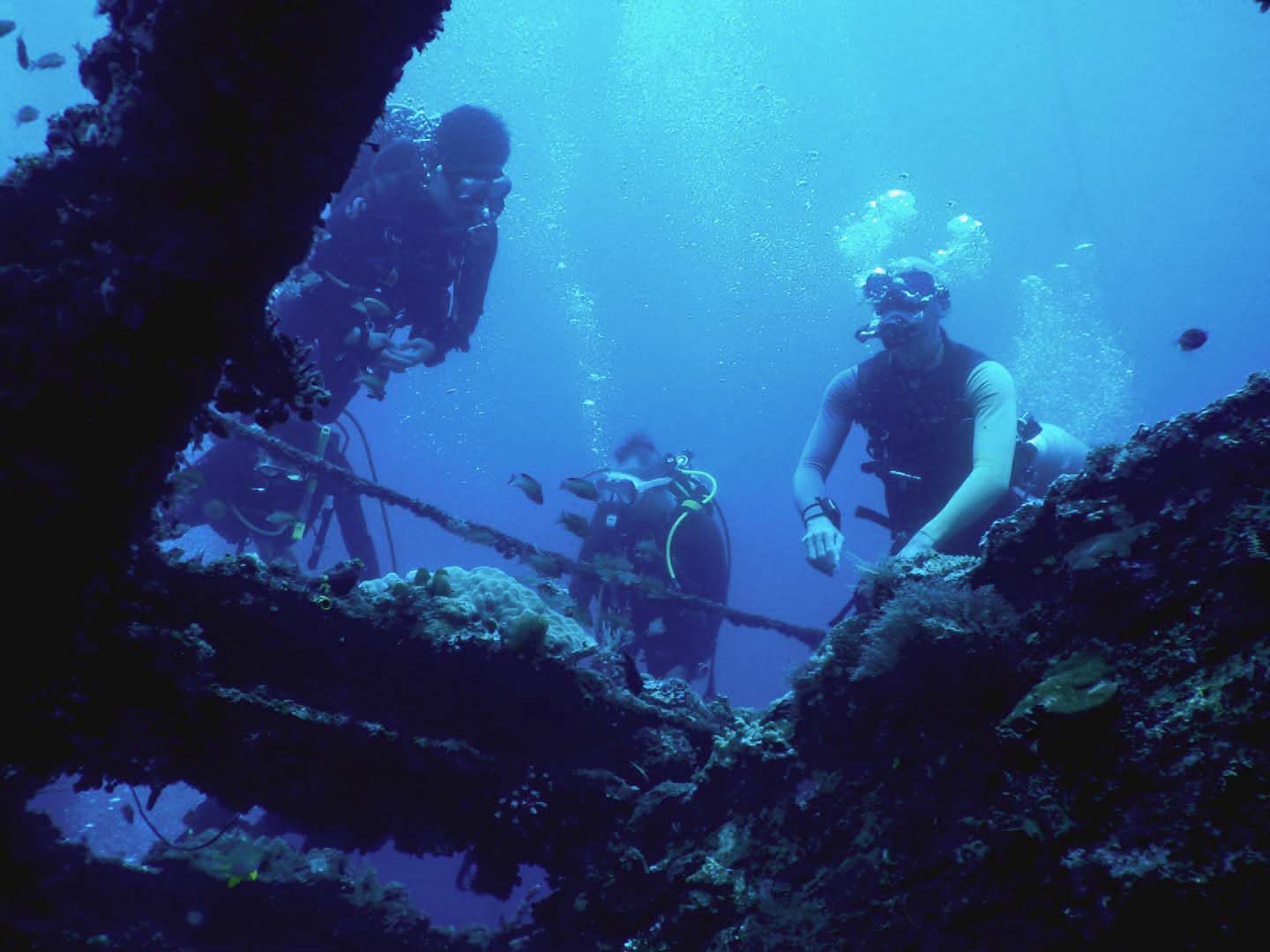 Wreck diving in Daryl Laut Anilao