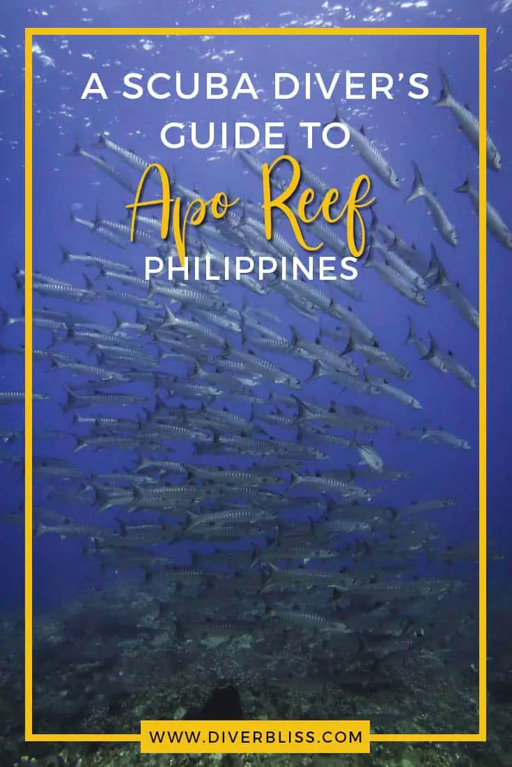 A Scuba diver's guide to Scuba Diving in Apo Reef, Occidental Mindoro, Philippines. Something to look forward to is the school of barracudas!