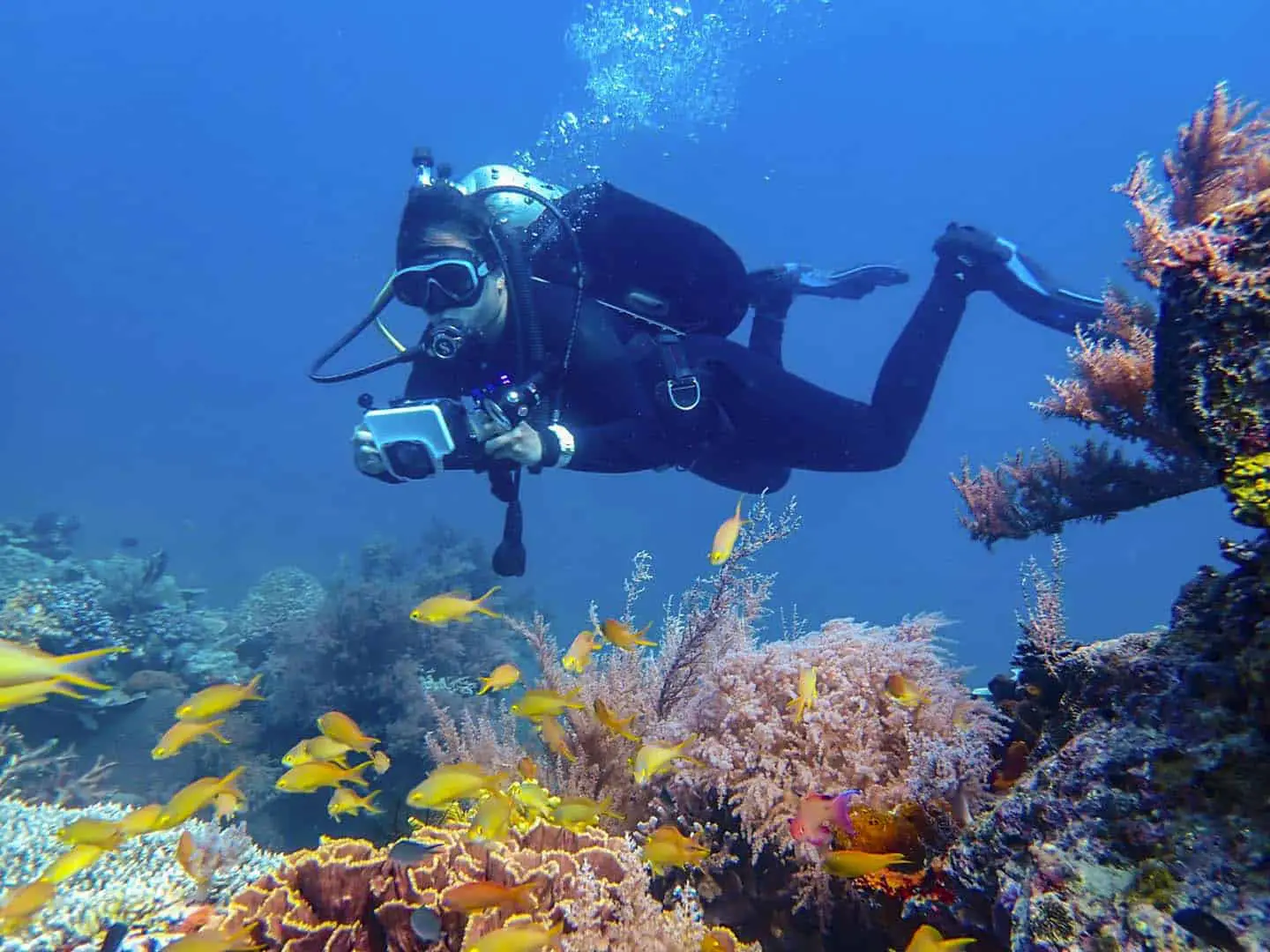 DiverBliss Scuba Diving in Caluya Island, Antique