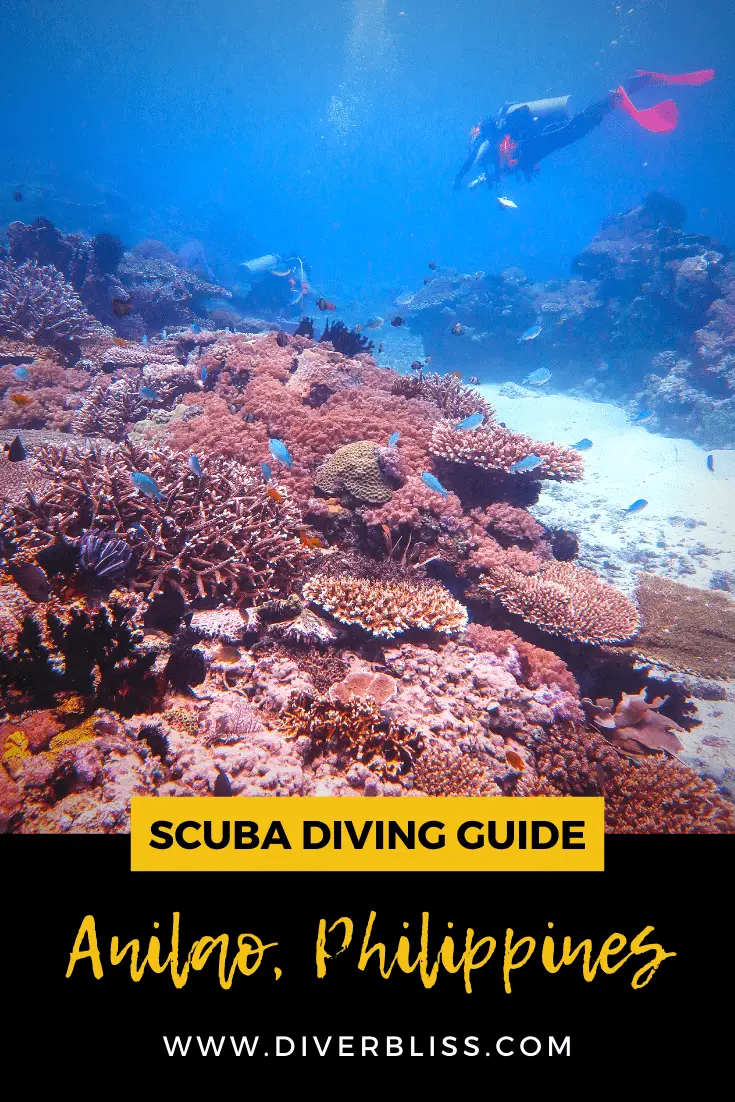 Scuba Diving Guide: Anilao, Batangas, Philippines
