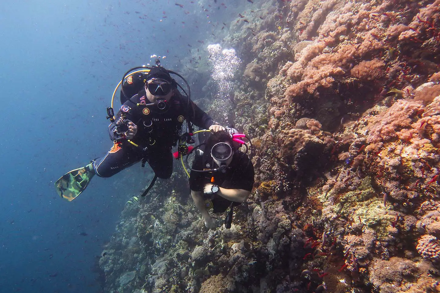 Advanced dives in verde island