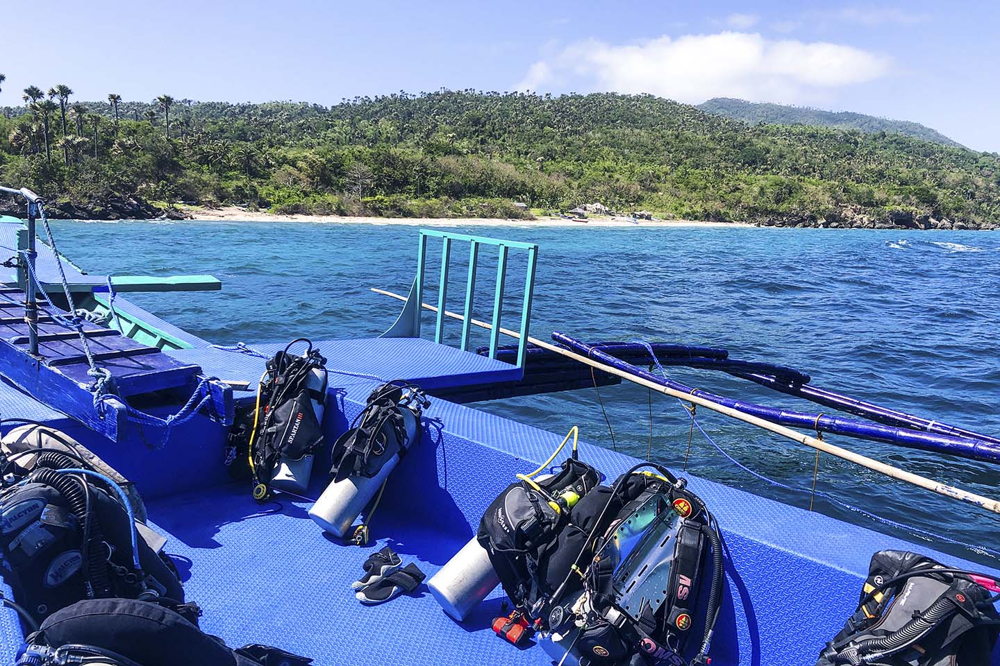 Boat dives and surface intervals at verde island