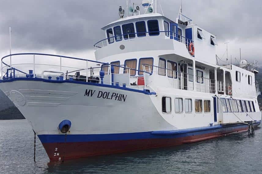Dolphin Philippines Budget-friendly liveaboard which allows you to visit Apo Island! 