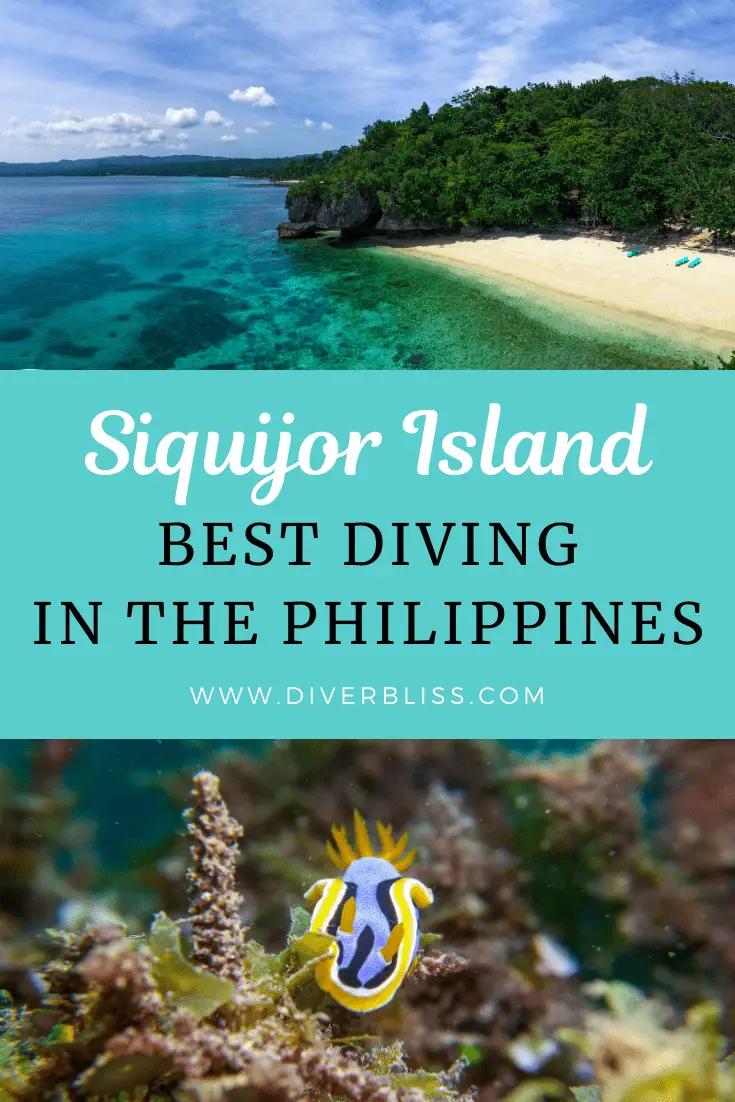 Siquijor Island Best Diving in the Philippines- Pin this for Later!