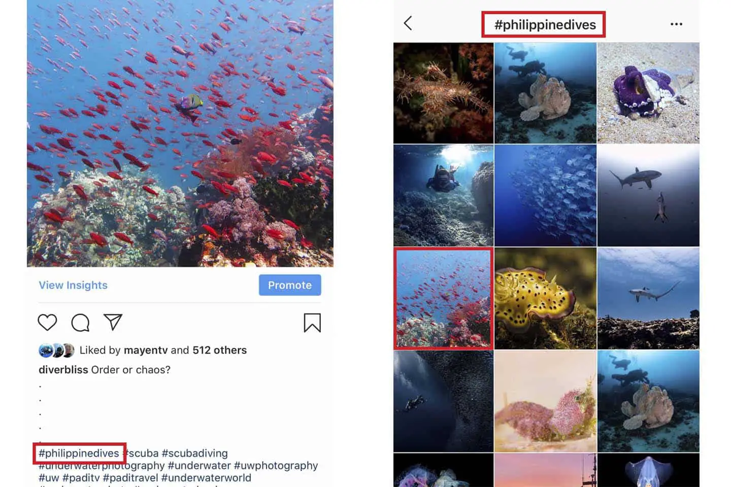 get more followers for your ocean-inspired instagram account by using relevant hashtags