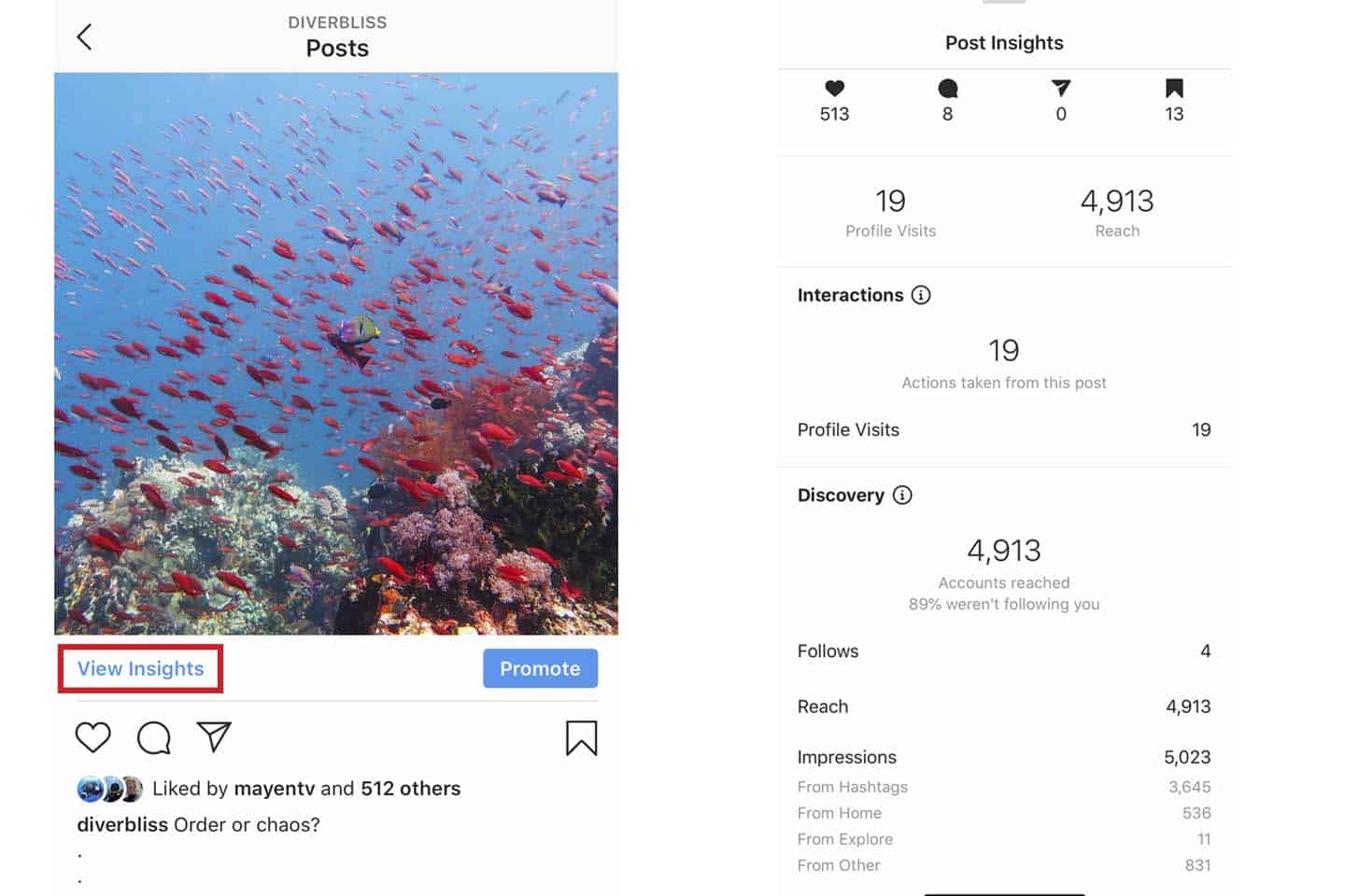 growing your ocean-inspired instagram account tips: look at your numbers and analytics