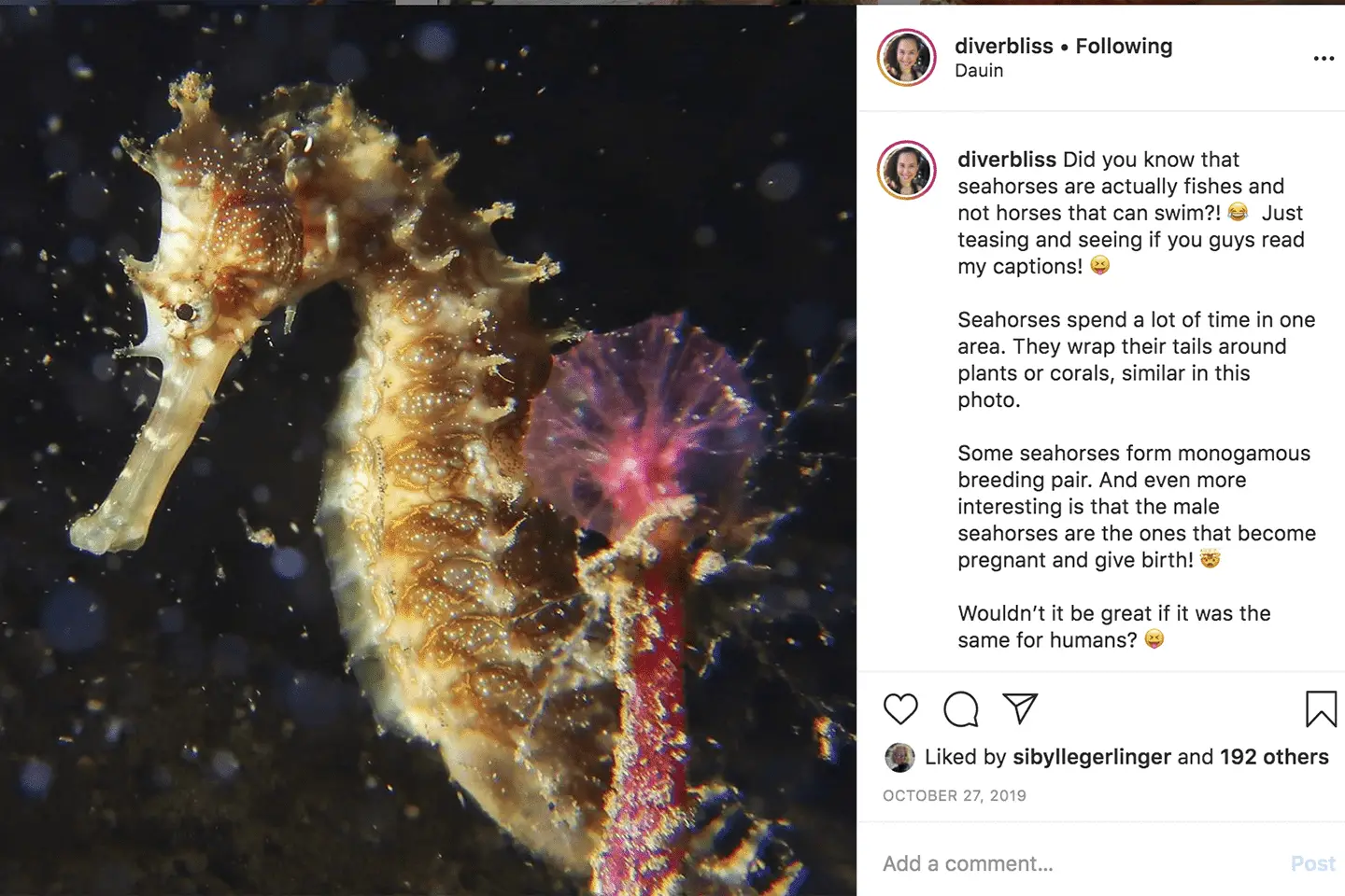Lengthy instagram captions work as well for engagement with other ocean advocates