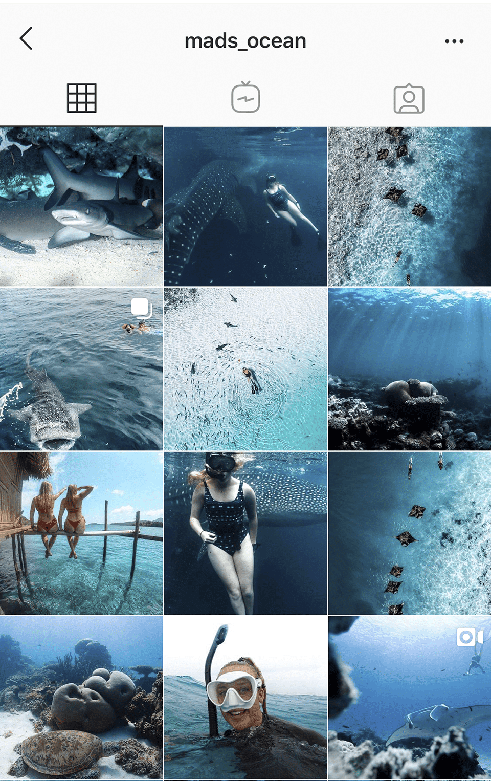 @mads_ocean use hues of blue for her diving instagram account