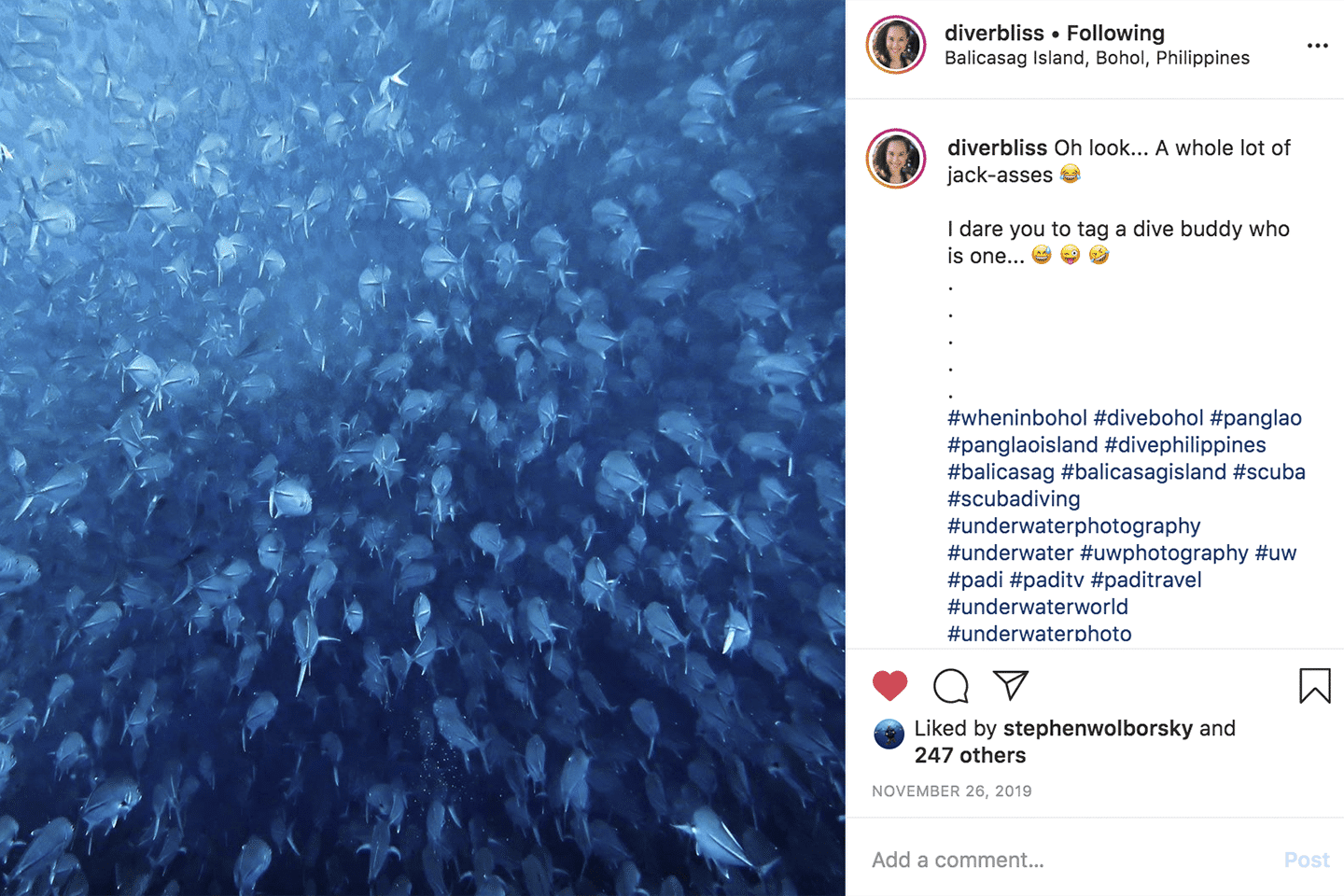 Creative Instagram Captions using fish puns and call to action for ocean advocates