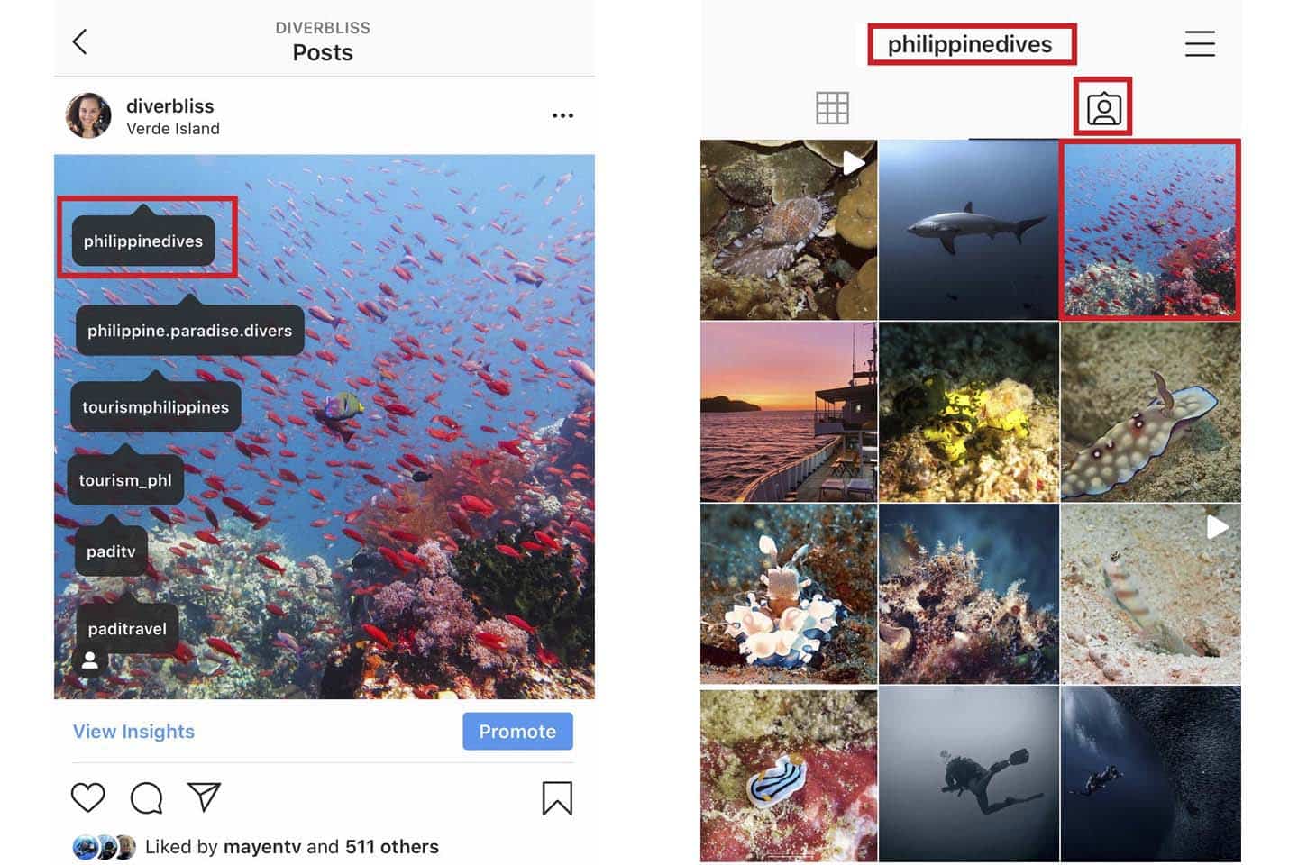 grow your ocean-inspired instagram account by tagging brands and other ocean advocates