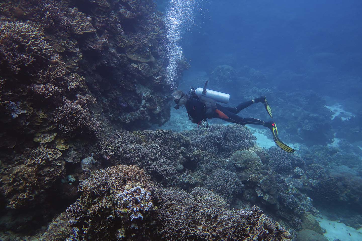 Our dive guide looking for interesting marine life to show us while diving in Maite dive site in Siquijor