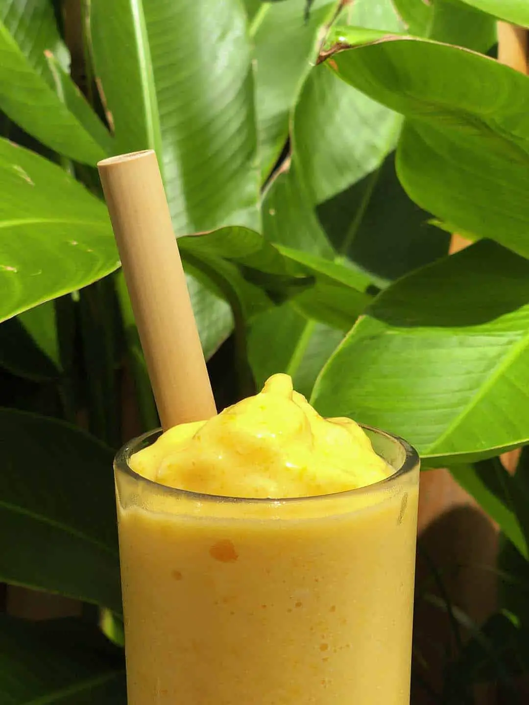 Mango Shake served with bamboo straw at Pawikan Eco-Dive Resort and Bistro