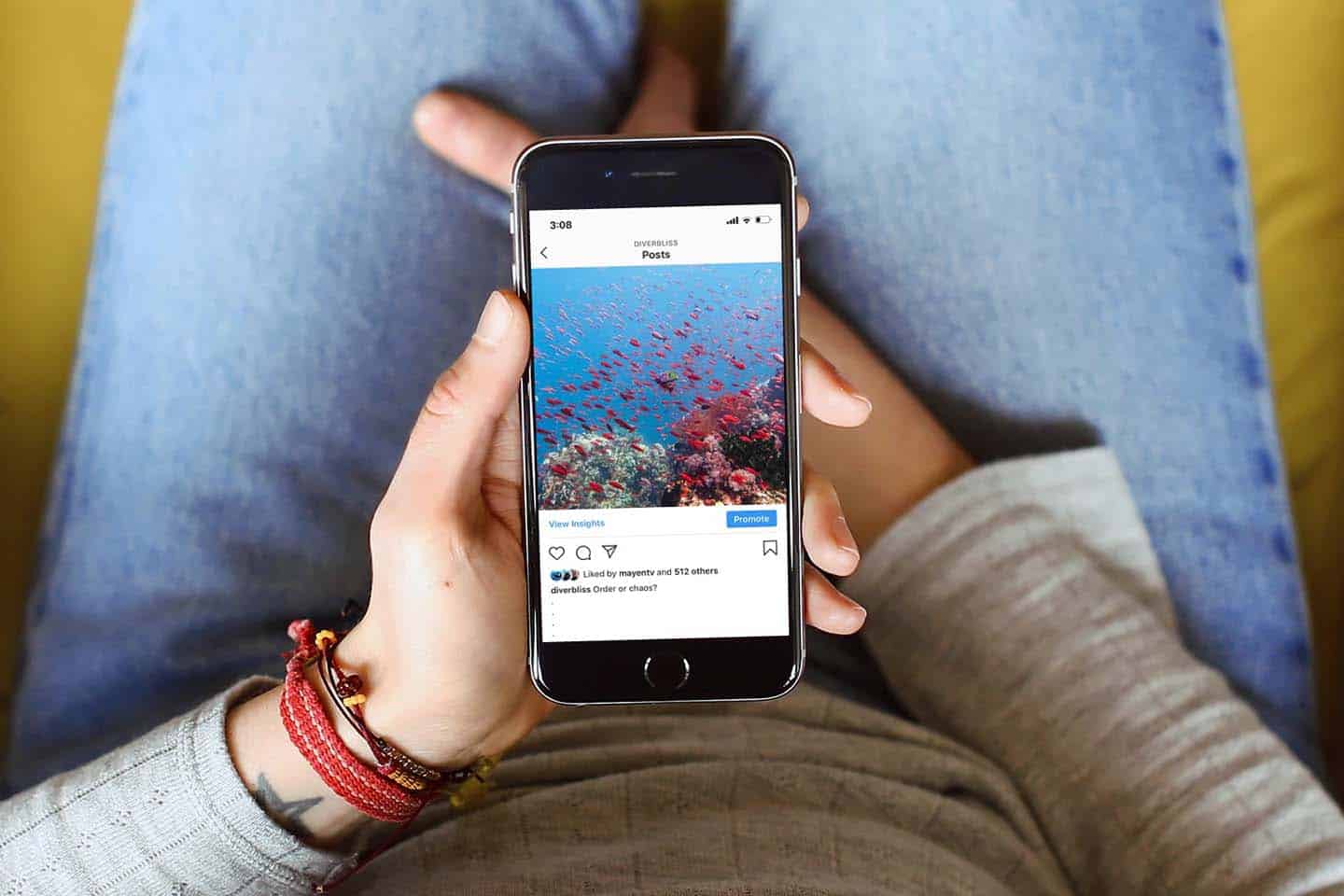 How to Grow your Instagram to Advocate for the Ocean