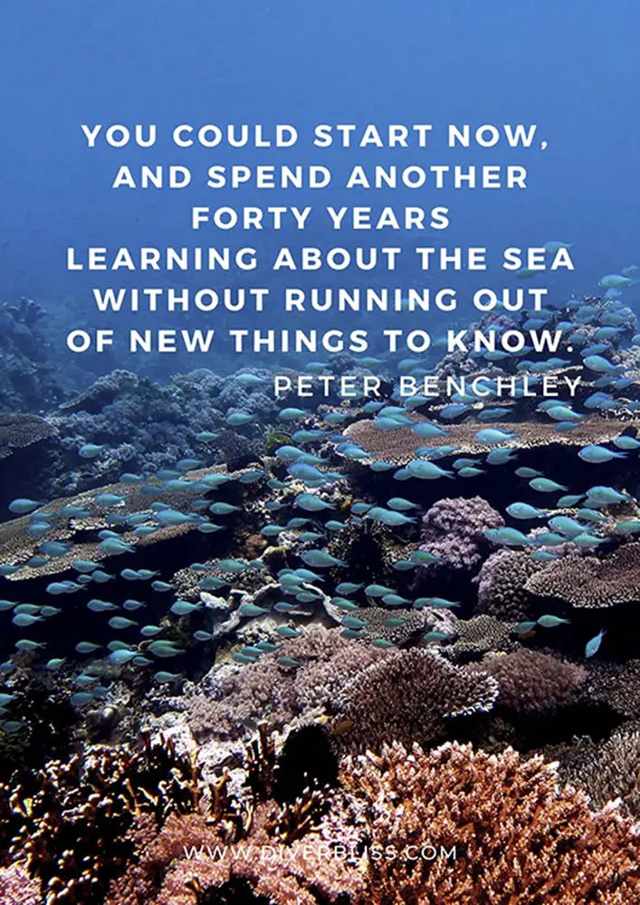 Scuba Diving Quotes: “You could start now, and spend another forty years learning about the sea without running out of new things to know.” – Peter Benchley