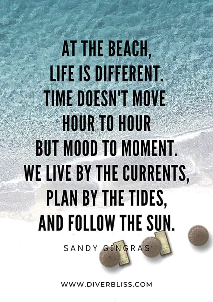 Beach Quotes:  "At the beach, life is different. Time doesn't move hour to hour but mood to moment. We live by the currents, plan by the tides, and follow the sun."- Sandy Gingras