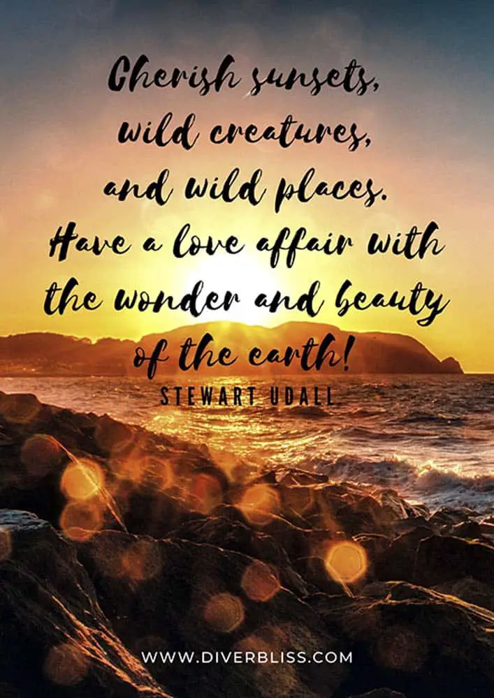 Sunset Quotes Poster: "Cherish sunsets, wild creatures, and wild places. Have a love affair with the wonder and beauty of the earth!"- Stewart Udall