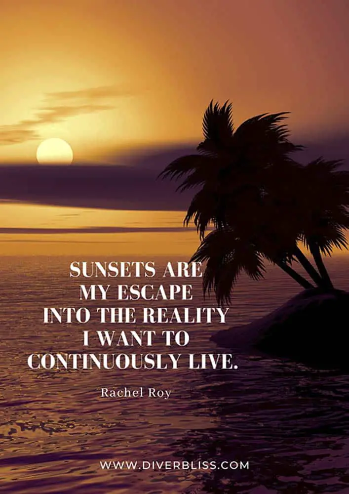 Sunset Quotes Poster: "Sunsets are my escape into the reality I want to continuously live." ~ Rachel Roy 