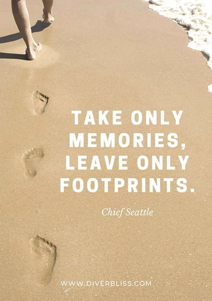 Sustainable Travel Quotes: “Take only memories, leave only footprints.” -Chief Seattle