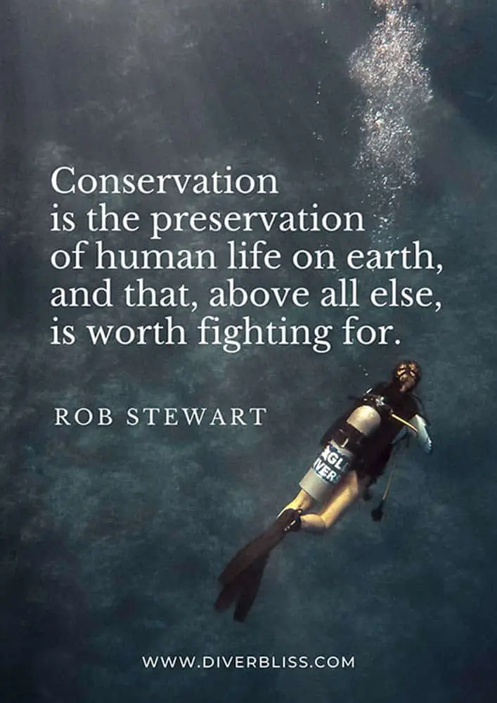 Conservation Quotes Poster:  Conservation is the preservation of human life on earth, and that, above all else, is worth fighting for.” - Rob Stewart