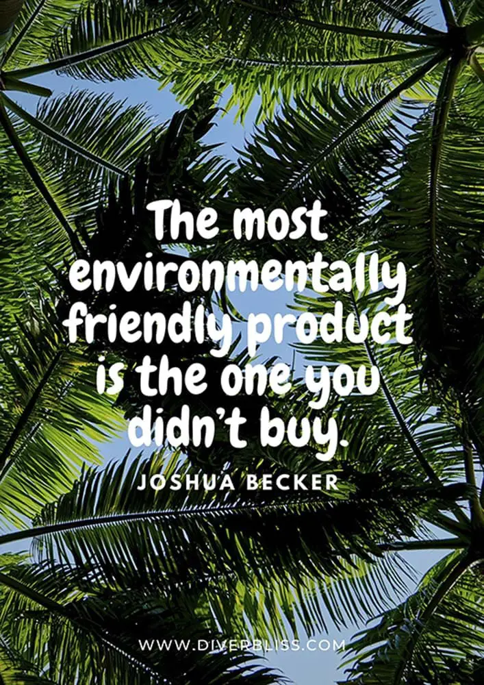 Plastic Pollution Quotes Poster: “The most environmentally friendly product is the one you didn’t buy.” - Joshua Becker