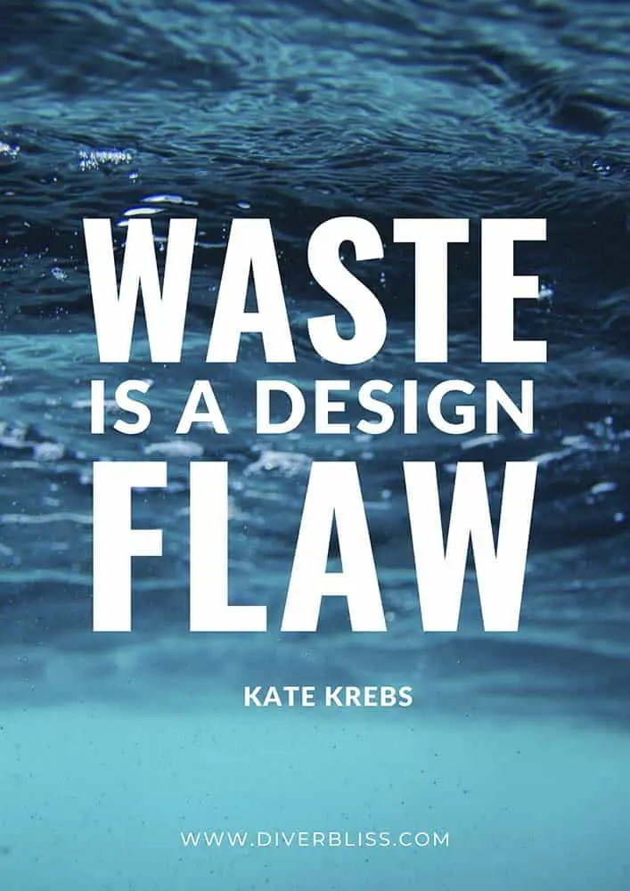 Plastic Pollution Quotes Poster: "Waste is a design flaw."- Kate Krebs