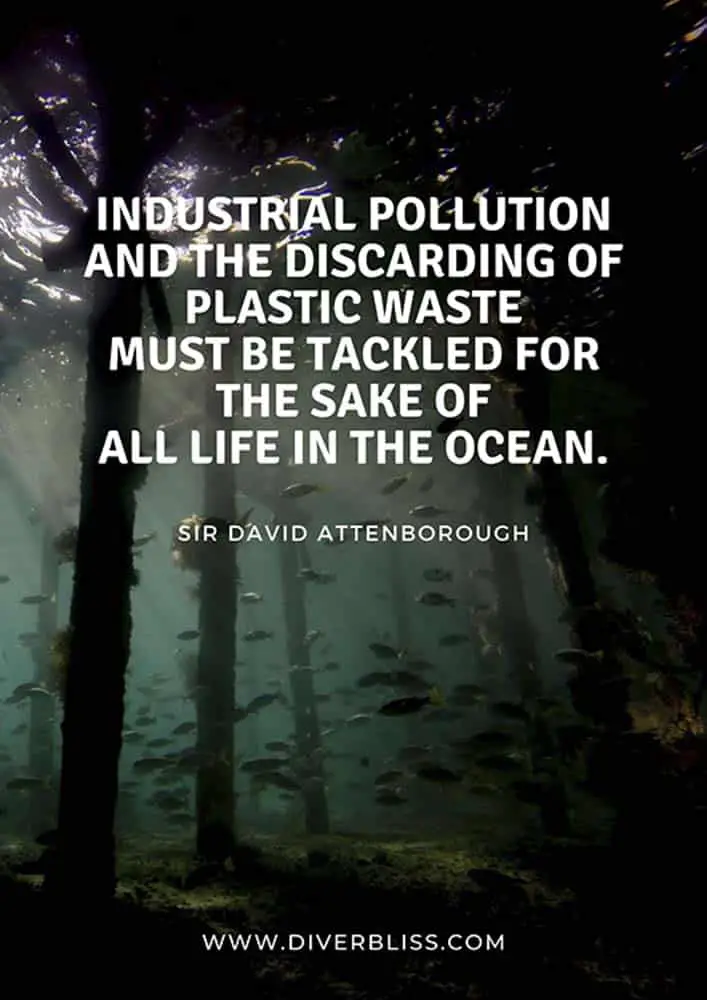 Plastic Pollution Quotes Poster: "Industrial pollution and the discarding of plastic waste must be tackled for the sake of all life in the ocean.” - David Attenborough