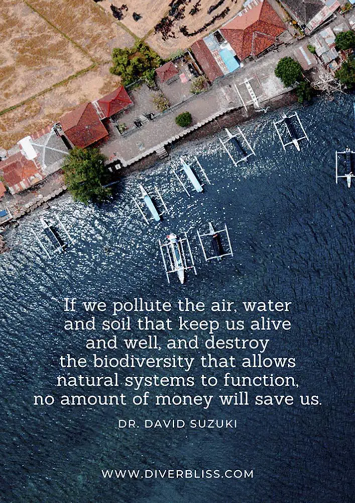 Plastic Pollution Quotes Poster: “If we pollute the air, water and soil that keep us alive and well, and destroy the biodiversity that allows natural systems to function, no amount of money will save us.”- Dr. David Suzuki