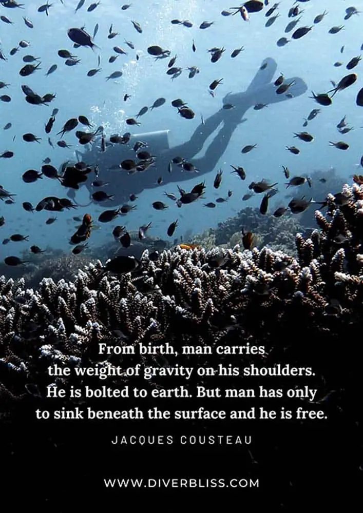 Diving Quotes Poster: "From birth, man carries the weight of gravity on his shoulders. He is bolted to earth. But man has only to sink beneath the surface and he is free."- Jacques Cousteau