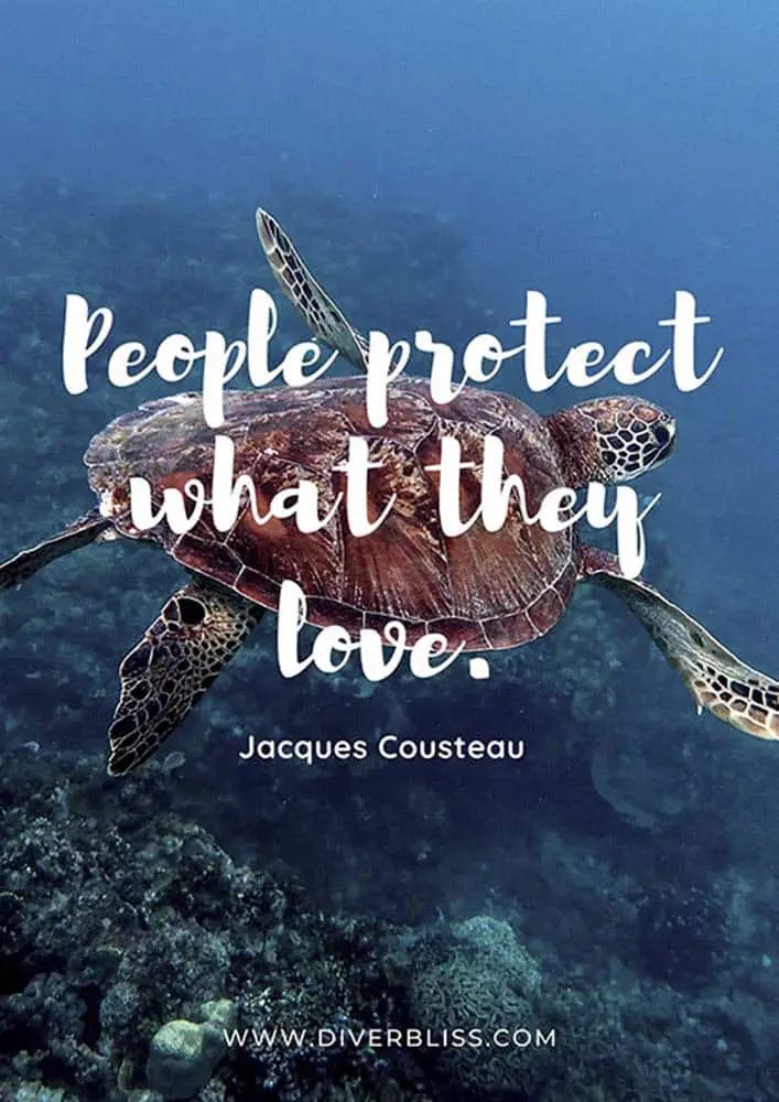 Diving Quotes Poster: "People protect what they love."- Jacques Cousteau