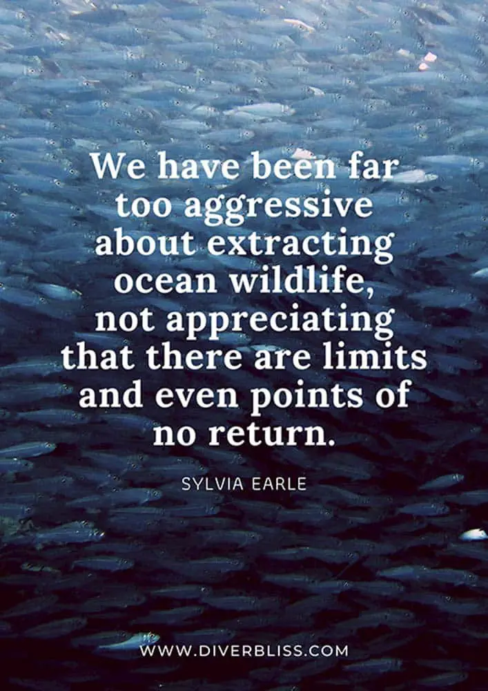 Ocean Wildlife Protection Poster: "We have been far too aggressive about extracting ocean wildlife, not appreciating that there are limits and even points of no return." - Sylvia Earle