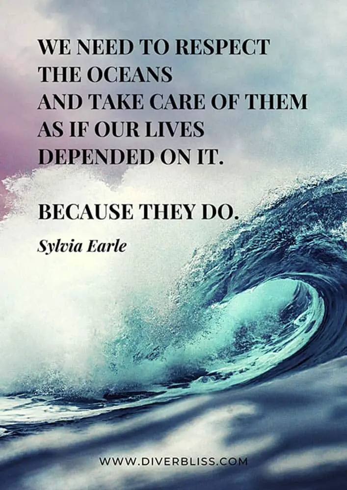 Ocean Conservation Poster:  "We need to respect the oceans and take care of them as if our lives depended on it. Because they do." - Sylvia Earle