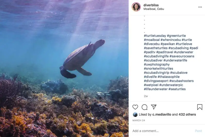 500 Best Ocean Scuba Diving Hashtags For Instagram