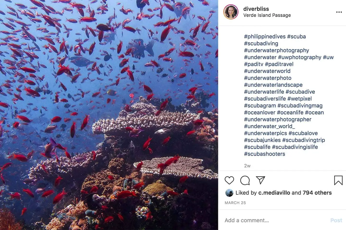 Diving Hashtags Instagram