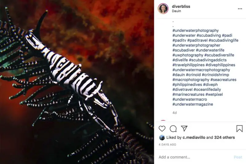 500 Best Ocean Scuba Diving Hashtags For Instagram