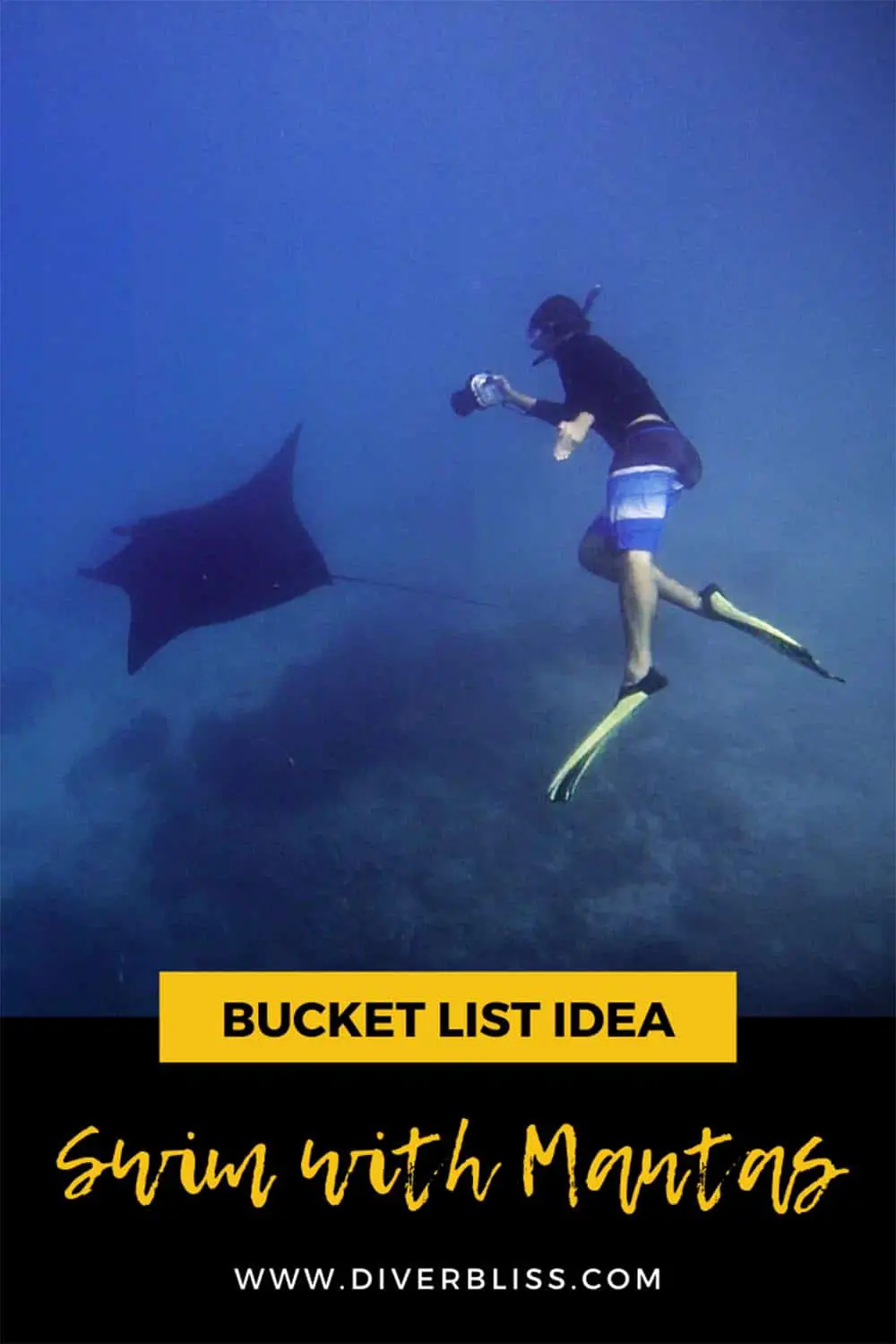 Bucket list Achievement: Swimming with Mantas
