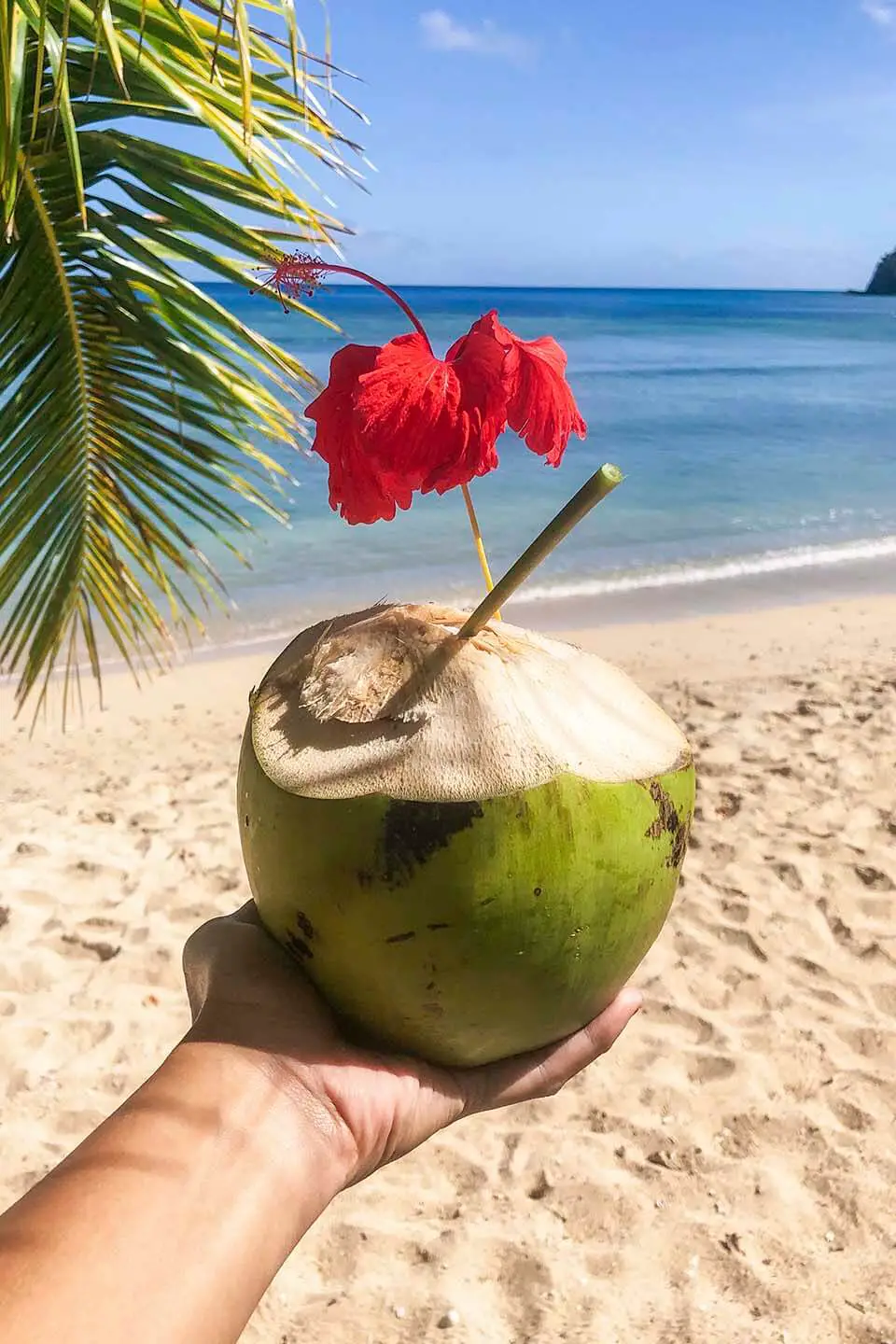 Eco Resort in Fiji Uses Papaya Straw as Alternative to Plastic Straws