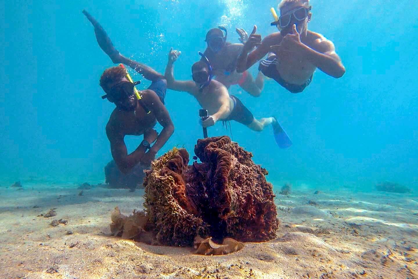 Checking out the giant clams in Makogai Island