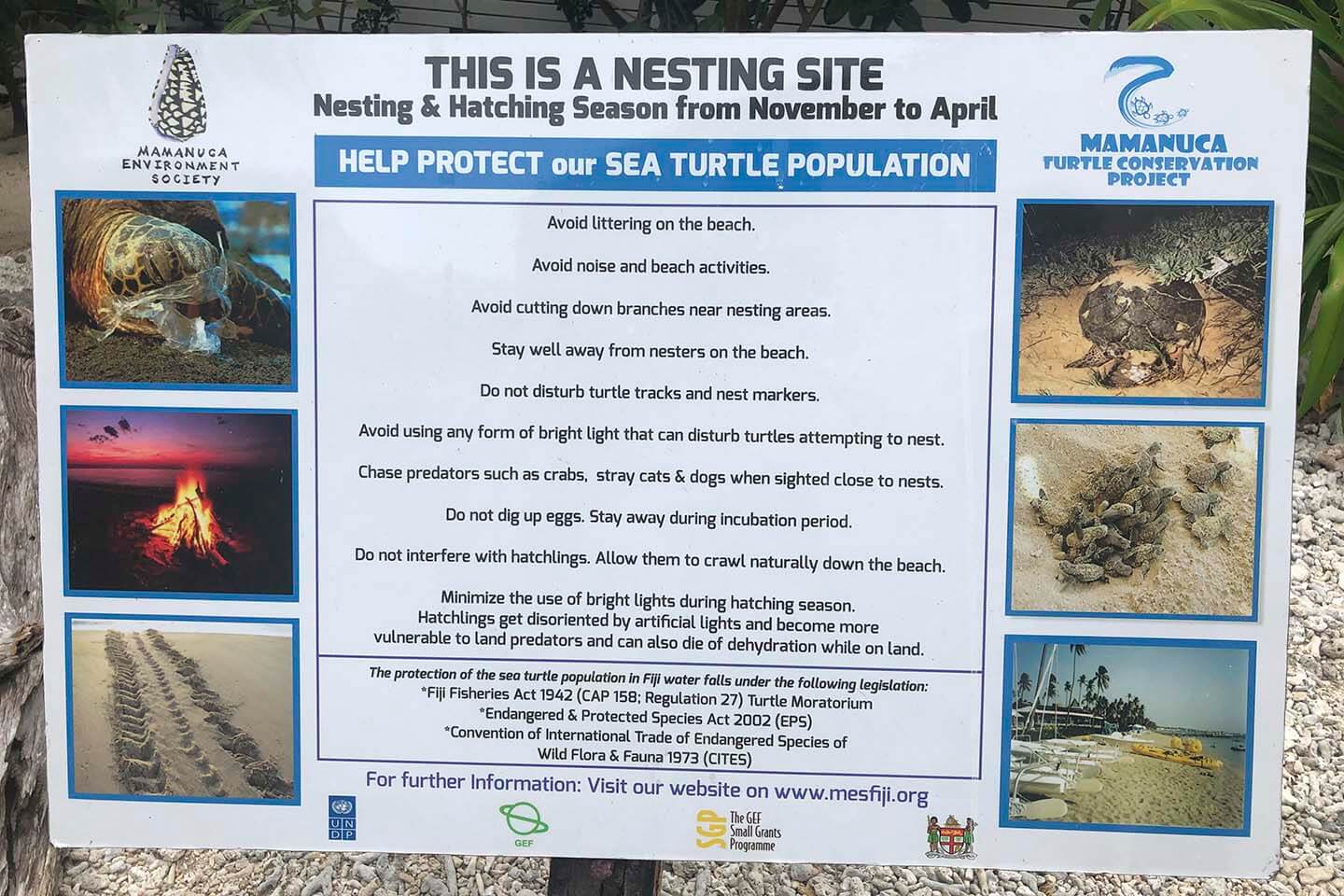 Eco Resort in Fiji has Nesting site for turtles