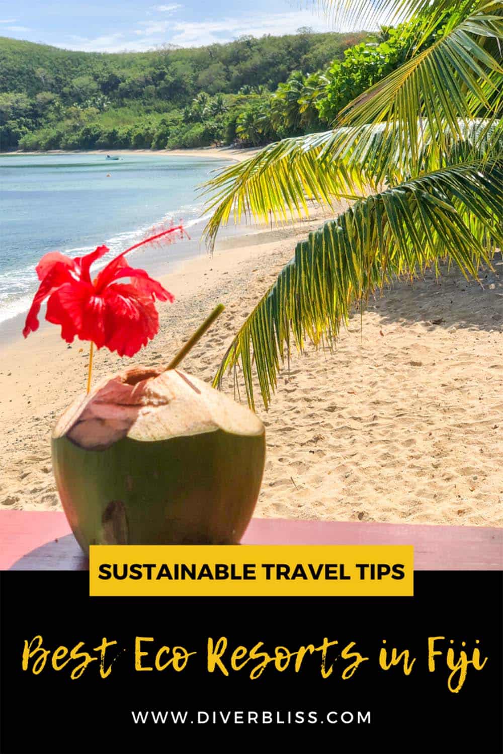 Sustainable Travel Tips Best Eco Resorts in Fiji