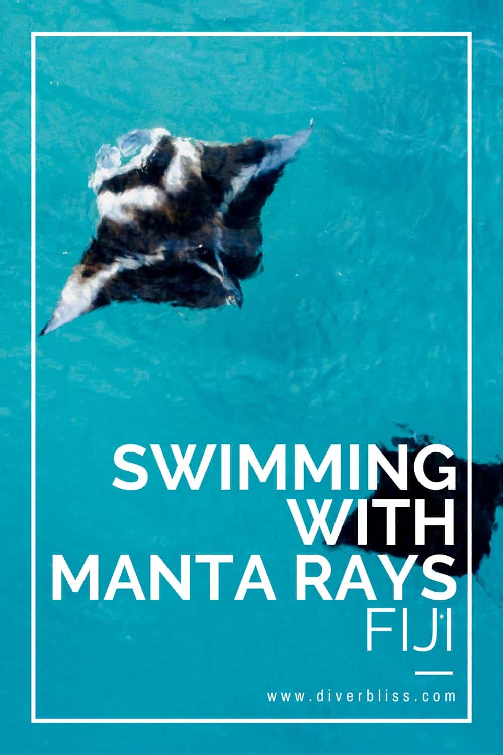 Guide to Swimming with Manta Rays in Fiji