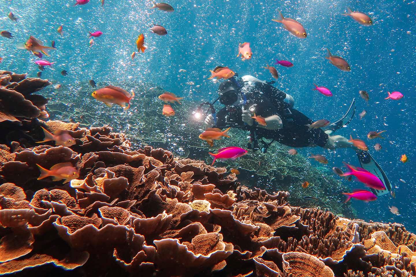 Pescador Island Diving