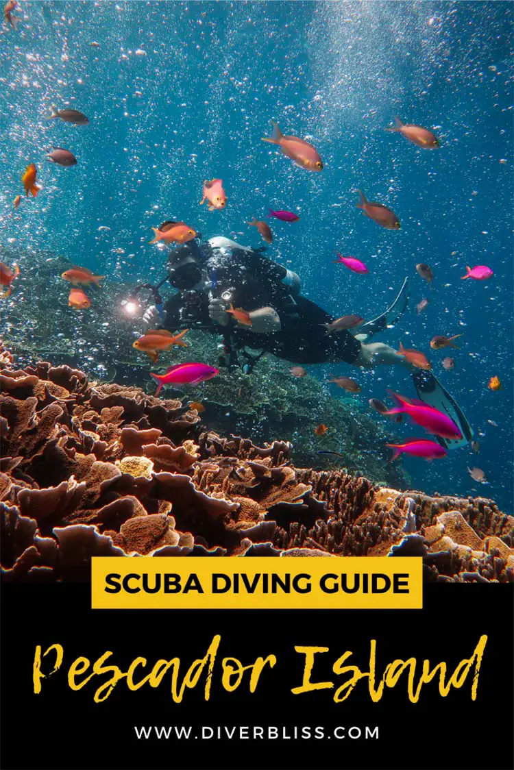 Scuba diving Guide for Pescador Island