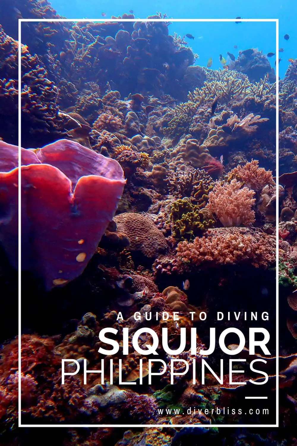 A guide to diving Siquijor Island Philippines