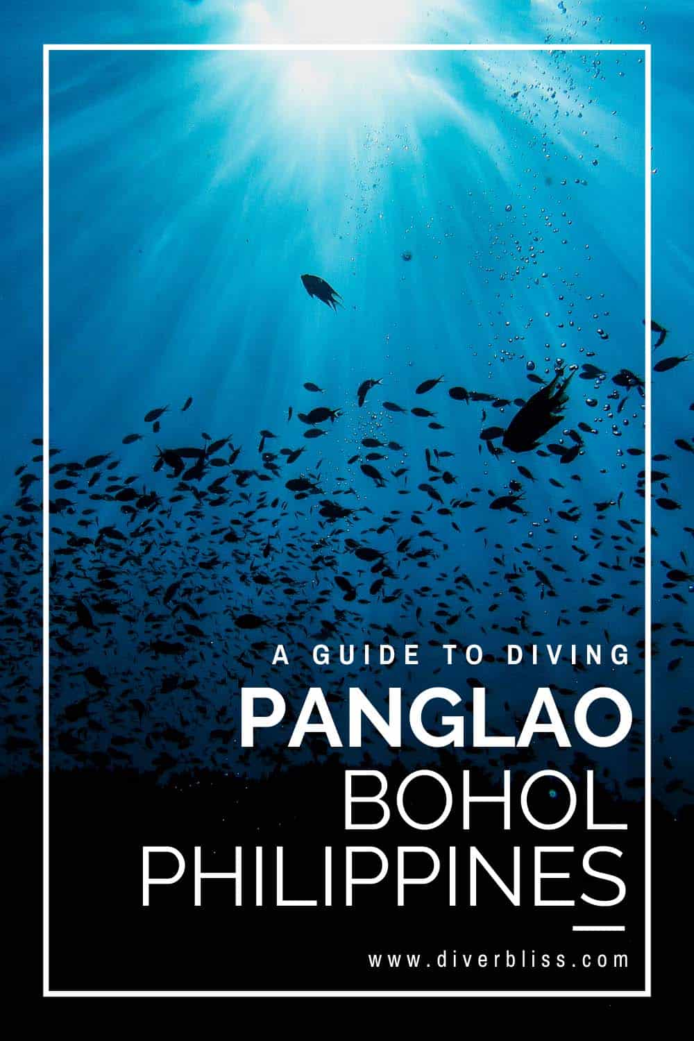 A guide to diving Panglao Bohol Philippines