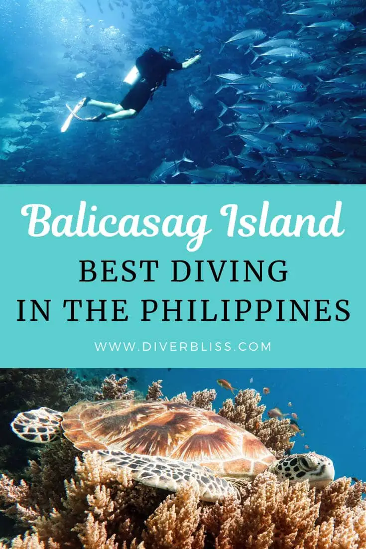 Balicasag Island Best Diving ni the Philippines