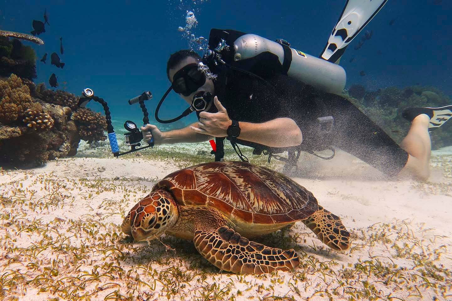 Diver and Turtle in Balicasag Island.  Photo shot with a Canon G7X Mark II and Fantasea Underwater Casing