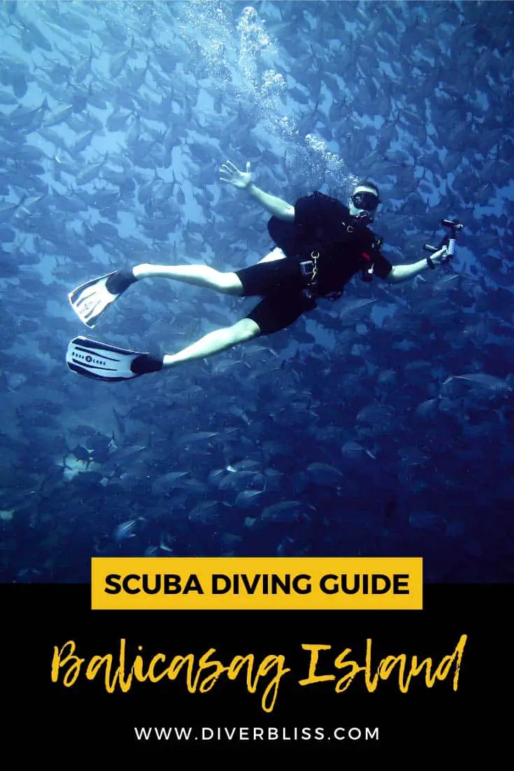Scuba Diving Guide Balicasag Island